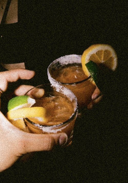 Cellar Bar | Eat & Drink | Viaduct Harbour